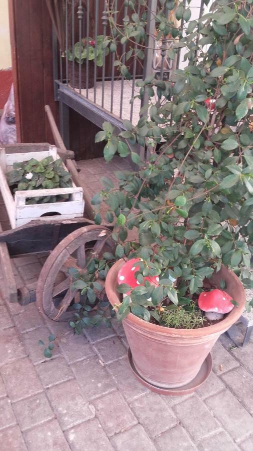 B&B La Sciguetta Magenta Ngoại thất bức ảnh